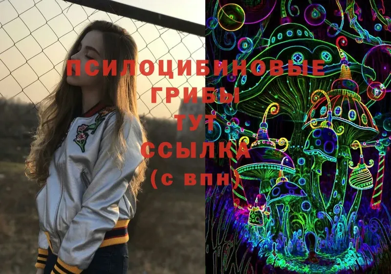 Галлюциногенные грибы MAGIC MUSHROOMS  Вилюйск 